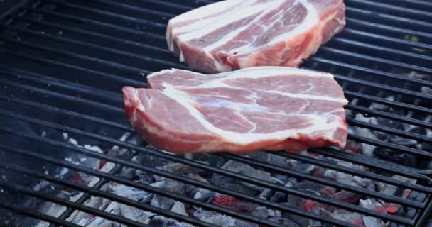 Cozinhar deliciosos bifes de porco grelhados em uma grelha — Vídeo de Stock