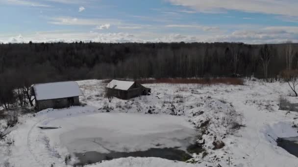 Geheimnisvolle fantastische Winter-Panoramalandschaft mit verschneitem Wald bei starkem Schneefall, Luftaufnahme — Stockvideo