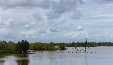 Su basmış alan ve orman sel tarlası manzarası nedeniyle