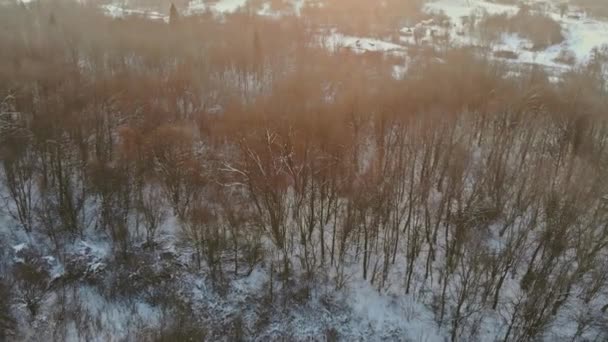 Flygfoto ovanifrån vinter panorama landskap med snöig skog i tung snö — Stockvideo