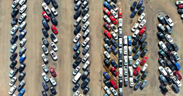 Terminal voitures garé un parking dans le parc de vente aux enchères de voitures d'occasion — Video