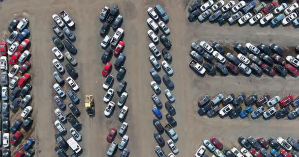 Árverési tétel használt gépkocsikban forgalmazott terminálon parkoló — Stock videók