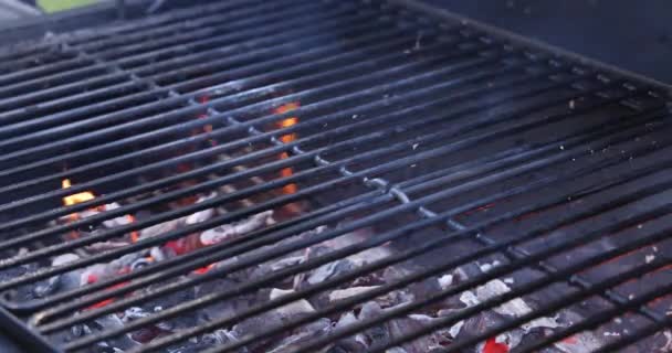 Churrasco grelhado em festa de verão com carvão em chamas por fogo aberto, um dispositivo para cozinhar alimentos — Vídeo de Stock