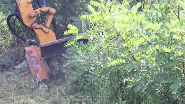 Дорожні послуги тракторної машини з косінням газону вздовж дороги — стокове відео
