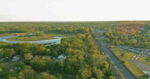 Vue aérienne d'une rivière forestière verte en été — Video