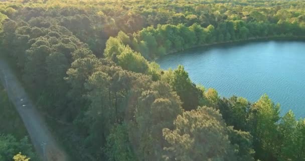 Scénický pohled na vodní krajinu jezera mezi zeleným lesem — Stock video