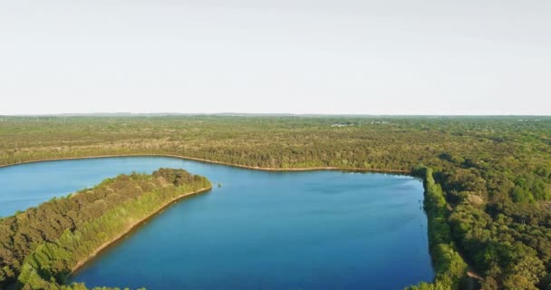Вид с воздуха на зеленый лес между бирюзовым озером — стоковое видео