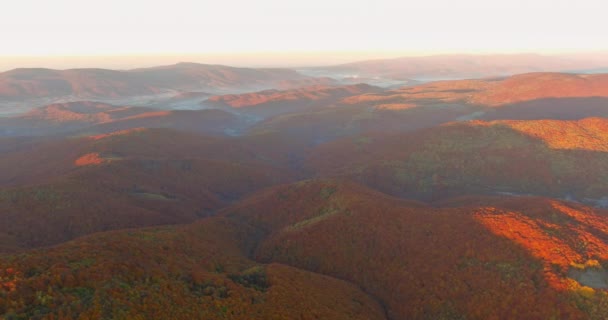 Vista aérea bela paisagem nas montanhas ao nascer do sol de colinas nebulosas cobertas por floresta. — Vídeo de Stock