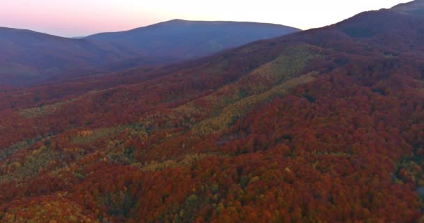 Bellezza incredibile paesaggio montano con vivido sulla foresta colorata autunno — Video Stock