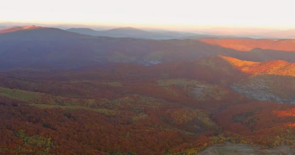 Prachtig uitzicht op panoramisch landschap met bergen en bos — Stockvideo