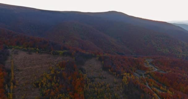 Górny widok z lotu ptaka niesamowity górski krajobraz z żywe na kolorowe jesienny las — Wideo stockowe