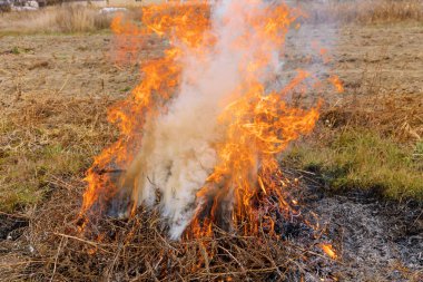 Bahçede yanan kuru çimenler sonbahar temizliği sırasında bahçe arazisinde çalışmayı reddediyor.