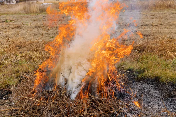 秋天清理期间花园的干草在垃圾堆中燃烧 — 图库照片