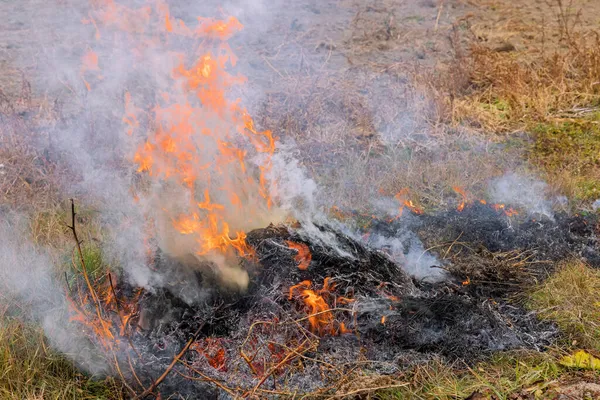 Wildvuur Het Veld Het Oogsten Van Brandend Droog Grasland Als — Stockfoto
