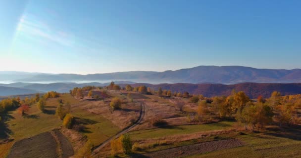 Horské panorama podzimního lesa — Stock video