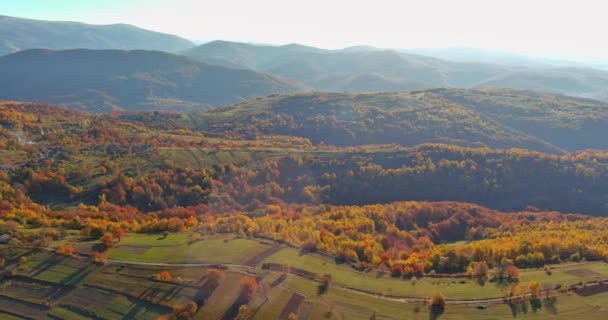 Paisaje panorámico en las montañas del bosque otoñal con vista aérea — Vídeos de Stock