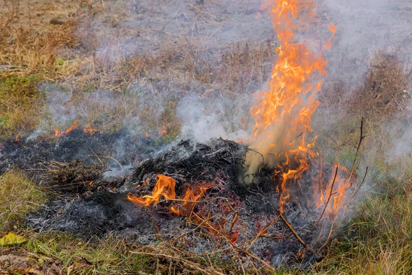 Fuego Ardiente Hierba Seca Humo Quema Hojas Quema Malo Para — Foto de Stock