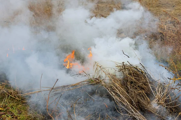 Fuoco Stagione Primavera Erba Secca Brucia Molto Fumo — Foto Stock