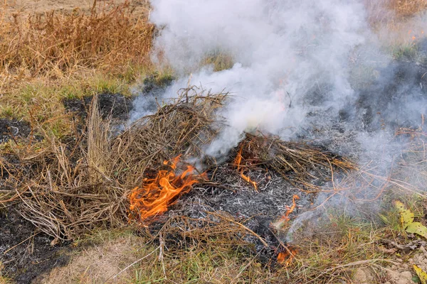 Ekolojik Sorun Kuru Çimenlerle Hava Kirliliği Çayırlarda Yangın Duman Çıkarıyor — Stok fotoğraf