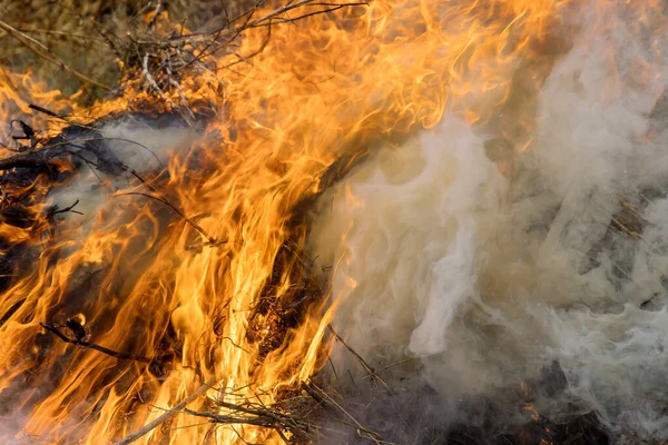 危险中的自然灾难与燃烧的草地野火摧毁了田野上的草 污染空气 — 图库照片
