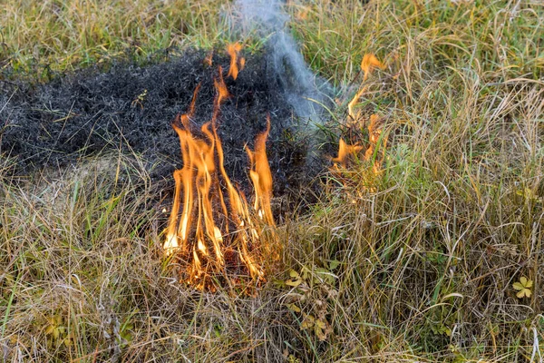 Bruciare Erba Campo Problema Primavera Stagionale Con Catastrofe Ecologica Del — Foto Stock