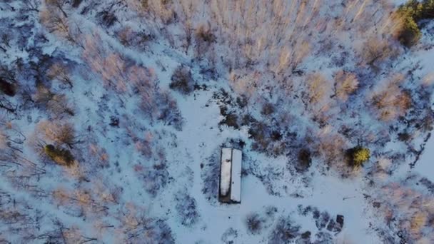 山の中の冬の風景の素晴らしい景色旅行で覆われた雪 — ストック動画
