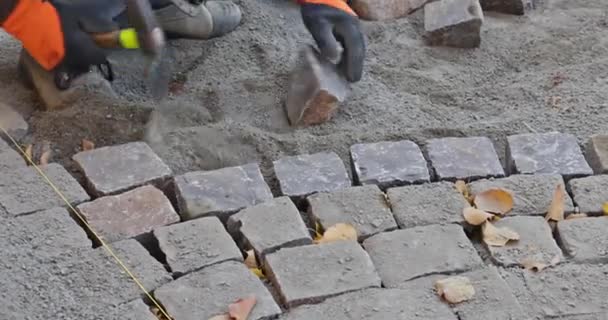 Le maître en gants pose des pavés en couches route en pierre par un travailleur de pavage professionnel — Video