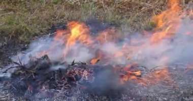 Yanan çayır tarlasıyla birlikte doğa felakete uğradı. Açık ateş bir tarladaki çimleri yok etti.