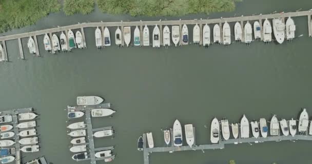 뉴 우저어 지 주에서 많은 배를 타고 항구를 공중에서 내려다본 모습 — 비디오