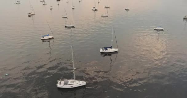 Många båtar i vackra stranden hamnen i New Jersey i Amerika — Stockvideo