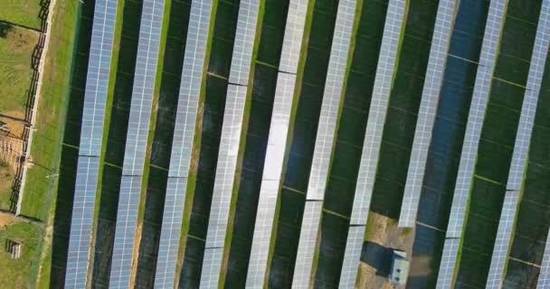 Aerial view of solar panels farm of energy lines with renewable alternative green energy — Stock Video
