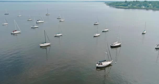 Antenn ovanifrån av segelbåt hamn många vackra båtar i havet port vatten transport sommartid semester — Stockvideo