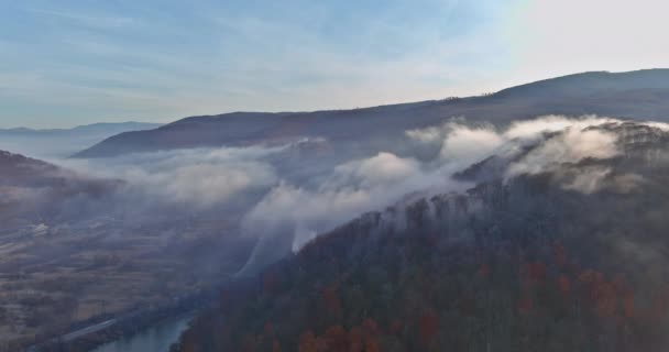 Πανοραμική του φθινοπώρου φυσικό ορεινό τοπίο το φανταστικό τοπίο με την πρωινή ομίχλη στο δάσος — Αρχείο Βίντεο