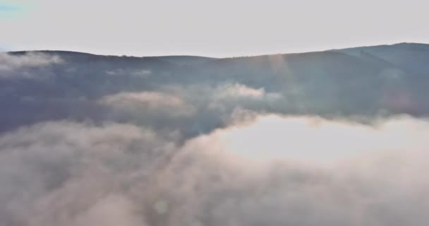 Nebeliger Morgen in den Bergen Waldgipfel — Stockvideo