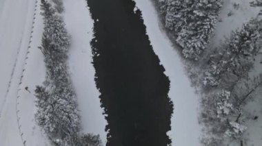 Karlı dağlardaki ormanın panoramik manzarası. Kış boyunca nehirle birlikte.
