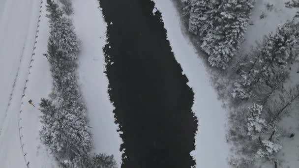 Panoramatický výhled na les ve zasněžených horách s řekou během zimního sněžení — Stock video