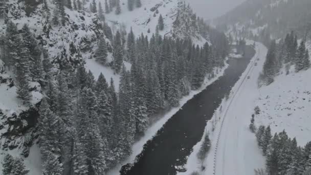 Zima zasněžené větve stromu v horách řeka s lesem při sněžení — Stock video