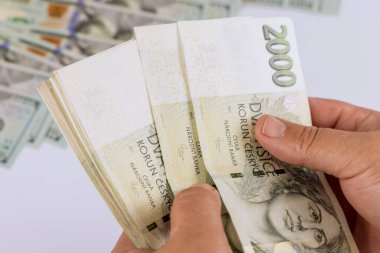 Çek Koruna banknotlarını kağıt para sayan adamla yakın plan çek