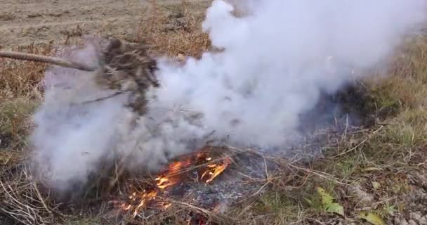 秋季清扫工作中，花园垃圾中干草燃烧的火苗冒出浓烟 — 图库视频影像