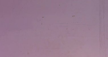 Duvarları macunla kaplayan adam, macunlu spatulayla odayı bitiriyor.