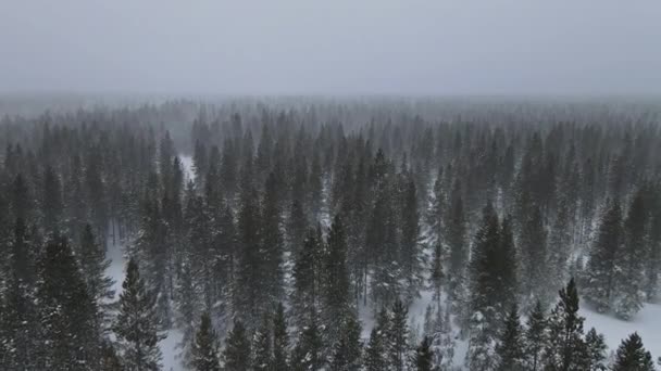 Vue aérienne avec belle forêt enneigée le paysage hivernal dans les montagnes d'hiver pendant les chutes de neige — Video