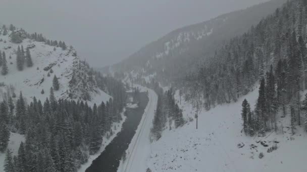 Les ve zasněžených horách s řekou během zimního sněžení panoramatický pohled shora — Stock video