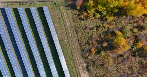Панорамный вид сверху на солнечные панели в парке возобновляемых источников энергии — стоковое видео