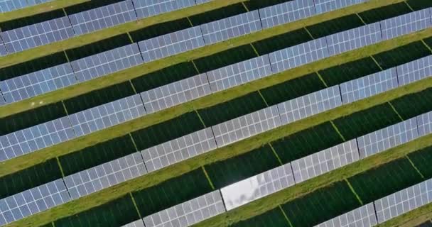 Bir enerji güneş pili enerji çiftliğindeki güneş panellerinin yüksek açılı görüntüsü — Stok video