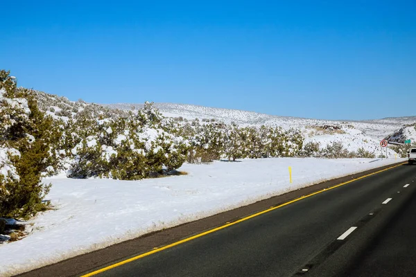 Scenery Valley Snowstorm Trees Forest Snowy Road Interstate Arizona Usa — Stockfoto