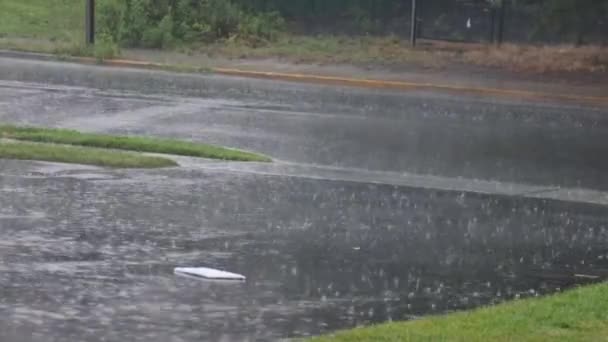 Lluvia gran charco de spray de agua de la carretera de asfalto — Vídeo de stock