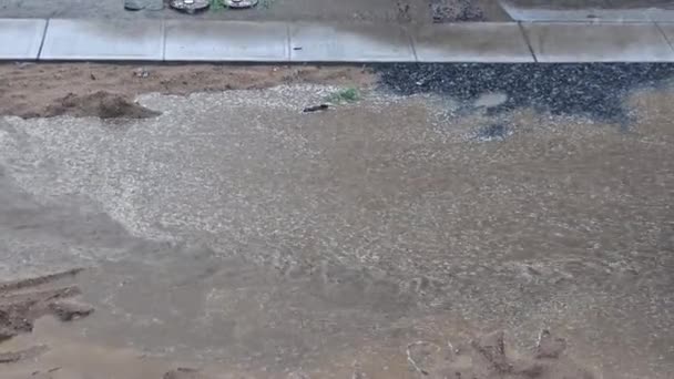 A through a large puddle flooding the road during thunderstorm — 图库视频影像