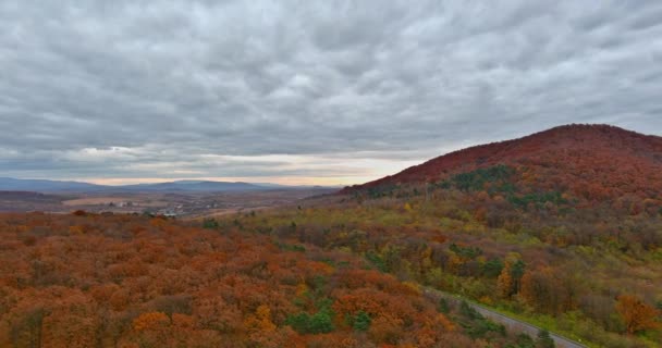 Vista aérea de arriba hacia abajo, siguiendo un camino en el centro de la colina desde las montañas del bosque — Vídeos de Stock