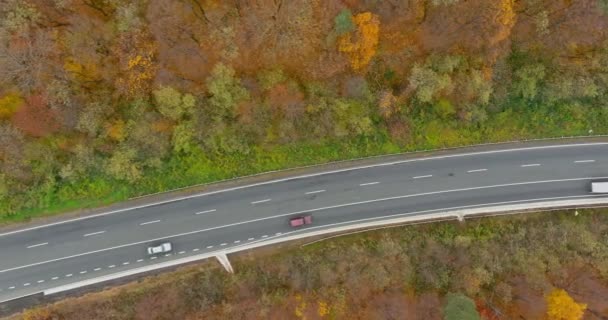 Letecký pohled na auto projíždějící lesem cestou uprostřed podzimního lesa plného barevných stromů — Stock video