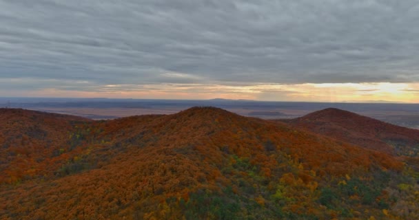 Incredibili alberi in fantastica scena di luce solare mattutina sulle montagne autunnali — Video Stock